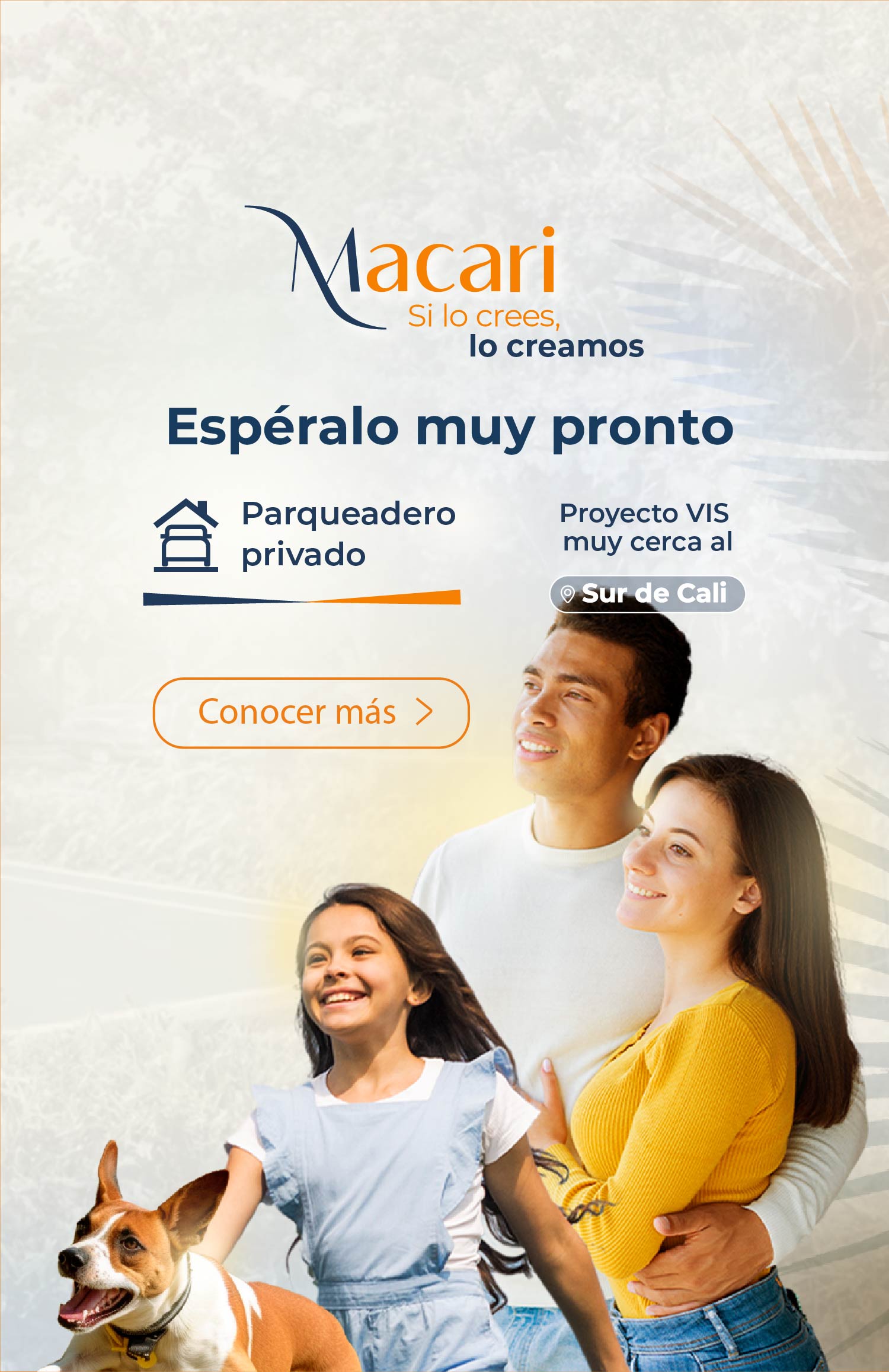 macari
